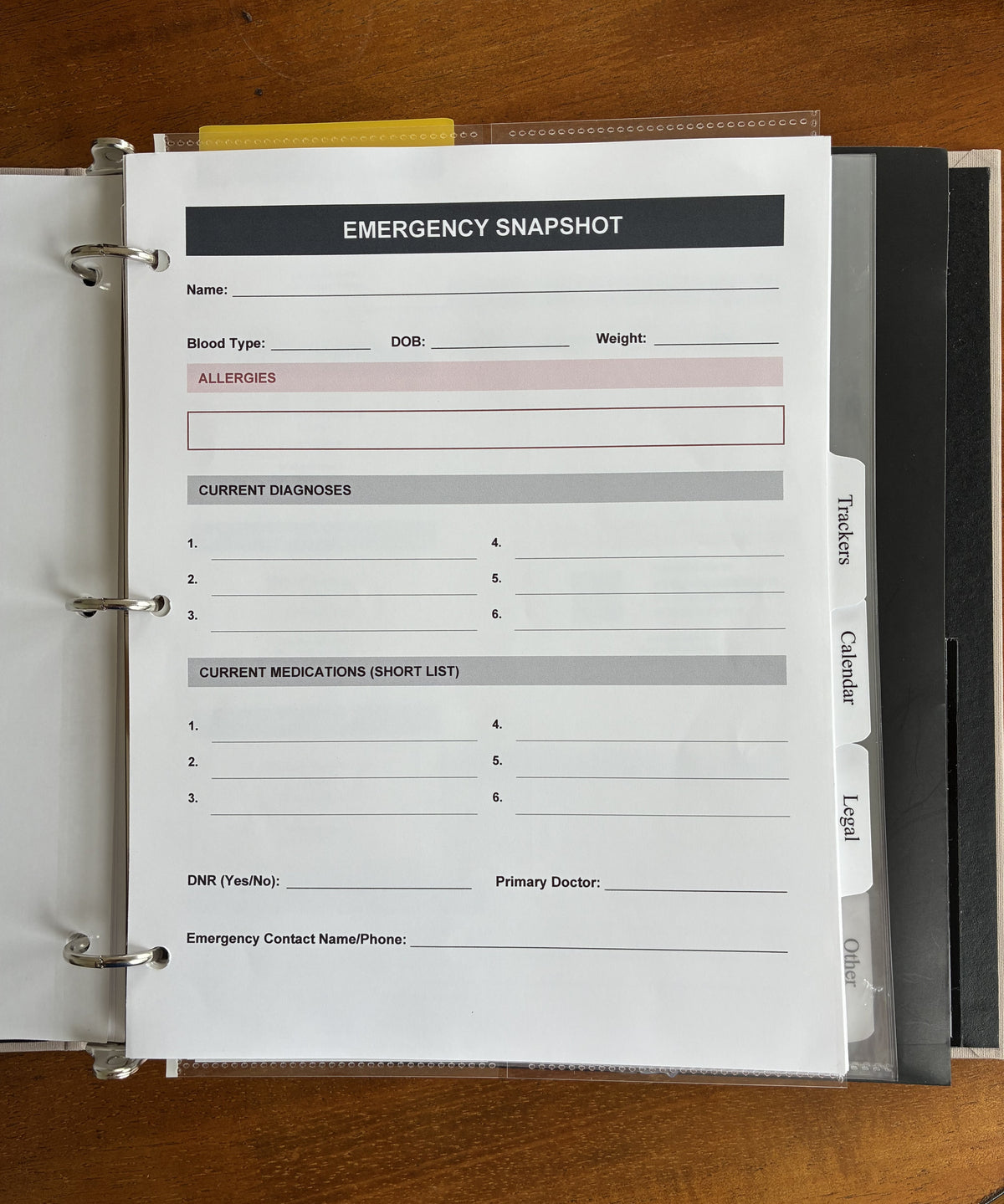 Health, Handled medical organizer open to the Emergency Snapshot sheet, with fields for allergies, diagnoses, medications, and emergency contacts.  Digital Download.   PDF Fillable.