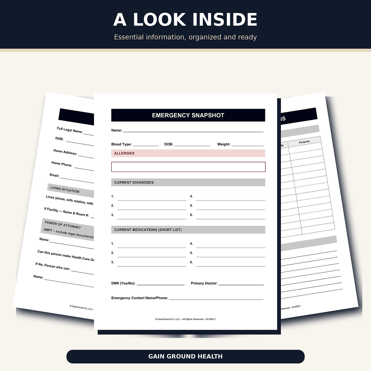 Replacement General and Medical section pages for the Health, Handled medical organizer.
